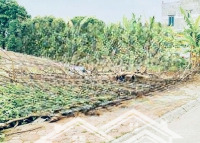 Bán Đất Đấu Giá X9 Mỹ Lộc, Thanh Lâm, Huyện Mê Linh, Tp. Hà Nội. Liên Hệ: 0942000234
