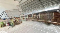 Cho Nhà Thuê Xưởng 2000M2 P. Tân Hoà Đường Xe Công Giá Thuê 35 Triệu 1/Tháng Cọc Hđ Lâu Dài