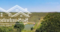 7764.2M2 Đất Thổ Cư, Mặt Tiền Đường Nhựa Lớn, View Đồi Chè Và Hồ Cánh Bướm Rất Đẹp