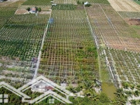 Bán 4600M2 Đất Có 270M2 Thổ Thuộc Ấp Phú Xuân 2, Phú Ngãi Trị, Châu Thành, Dt: 56 X 72M