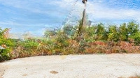 Bán Gấp Đất Biển Tuy Phong - Sổ Riêng, Thổ Cư 100% - Sở Hữu Ngay Tặng Liền Tay 6 Chỉ Vàng