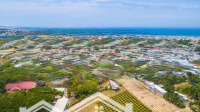 Bán Gấp Đất Biển Tuy Phong - Sổ Riêng, Thổ Cư 100% - Sở Hữu Ngay Tặng Liền Tay 6 Chỉ Vàng