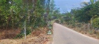 Duy Nhất Lô 11M Đường Nhựa Xay Sát Văn Minh, Giá Tốt Nhất Thị Trường
