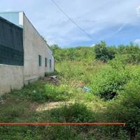 Bán đất Diên Xuân view hồ nước tự nhiên đường thông gần Tỉnh Lộ 8