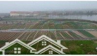 Cơ Hội Đầu Tư Vàng Cho Các Anh Chị Tại Thị Trấn Quất Lâm Chỉ Từ 1 Tỷ/Lô Khu Vực Đang Phát Triển