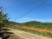 Tin Vui Cho Khách Đầu Tư Chủ Gửi Bán 1Ha Tại Lộc Đức - Bảo Lâm - Có Thổ Cư