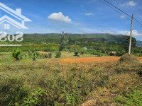 Tin Vui Cho Khách Đầu Tư Chủ Gửi Bán 1Ha Tại Lộc Đức - Bảo Lâm - Có Thổ Cư