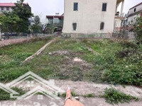 Đất Yên Ninh - Hiền Ninh Đường Thông Ô Tô Chạy Quanh Giá Nhú 2 Tỷ. Liên Hệ: 0976677492