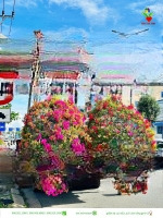 Bán Đất Gần Hồ Nghinh, Gần Biển, Có Nhà Tiền Chế Thu Nhập 22 Tr Tháng, Gần Tt Tài Chính