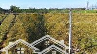 Bán Đất Tại Thái Mỹ, Củ Chi, Hồ Chí Minh 5,9 Triệu / M2, 19000 M2 Chính Chủ Bao Đẹp