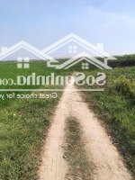 Bán Đất Tại Thái Mỹ, Củ Chi, Hồ Chí Minh 5,9 Triệu / M2, 19000 M2 Chính Chủ Bao Đẹp