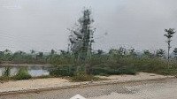 Chính Chủ Cần Bán Gấp Đất Gia Vượng, Gia Viễn, Ninh Bình