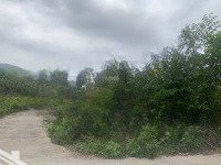 Chủ Gửi Bán Lô Đất 596M2 Có 50M2 Ont Sau Bưu Điện Bến Tràm Đường 6M Ở Phú Quốc, Kiên Giang