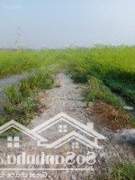 Bán Đất Tại Thái Mỹ, Củ Chi, Hcm, 7 Triệu / M2, 13100 M2 - Hàng Hiếm Giá Cực Chất