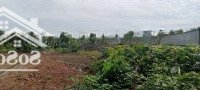Bán Đất Tại Thái Mỹ, Củ Chi, Hồ Chí Minh, Giá Cực Chất 7,6 Triệu / M2, Diện Tích 13300 M2