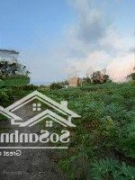 Bán Đất Tại Thái Mỹ, Củ Chi, Hồ Chí Minh, Giá Cực Chất 7,6 Triệu / M2, Diện Tích 13300 M2