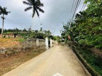 Em Còn 2 Lô Siêu Đẹp Tại Đồng Quýt - Hoà Sơn, Cách Đường Đông Dương Chỉ 15M Cách Kcn Lương Sơn 400M