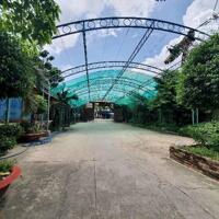 Bán đất Bình Phú, Tam phú, Thủ Đức, 1821m2, Mặt tiền kinh doanh, Gía chỉ 50.6 Tỷ TL