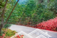 Biệt Thự Thanh Xuân Valley Ck 10%, Free 3 Năm Pdv, Quà Tân Gia 200,300, 500 Triệu Ưu Đãi Cực Lớn