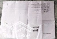 Bán Căn Góc Cấp 4 (10X25M), Mặt Tiền Đường Thanh Niên, P. Tân Bình