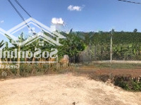 Nhượng Lại Vườn Cây Ăn Trái Có Suối Nhỏ Long Khánh Giá Chỉ 880 Triệu - Ngân Hàng Hỗ Trợ Vay 50%