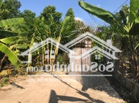 Nhượng Lại Vườn Cây Ăn Trái Có Suối Nhỏ Long Khánh Giá Chỉ 880 Triệu - Ngân Hàng Hỗ Trợ Vay 50%