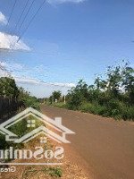 Bán Mảnh Đất Vườn Rộng 1.500M2 Ở Huyện Thống Nhất Giá Hợp Lý Cho Anh Chị Cần
