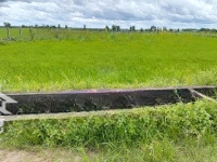 Bán Đất Tại Thái Mỹ, Củ Chi, Hồ Chí Minh, Giá Cực Chất 9 Triệu / M2, 4900 M2