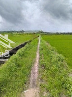 Bán Đất Tại Thái Mỹ, Củ Chi, Hồ Chí Minh, Giá Cực Chất 9 Triệu / M2, 4900 M2