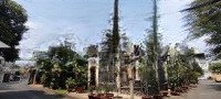 Bán Nhà 1T2L Hẻm Nhựa 7M Cách Hoàng Diệu Ii 30M, Kdc Văn Minh Và Vị Trí Đắc Địa