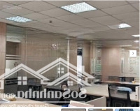 Tòa Nhàmặt Tiềnngay Nguyễn Văn Trỗi, Phú Nhuận. 10Mx26M - Hầm 8 Tầng - Hđt 500 Triệuiệu/Thang. Giá Bán 130 Tỷ