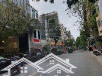 Bán Nhàmặt Tiềnngay Hai Bà Trưng, Quận 1. 12Mx20M - 4 Tầng - Hdt 500 Triệuiệu/Tháng. Giá Bán 100 Tỷ