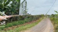 Bán 1Ha Vườn Sầu Riêng + Cây Ăn Trái Tại Xã Phú Lý Sổ Hồng Riêng Giá Tốt
