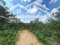 Chính Chủ Cần Bán 75 Triệu/1000M2 Cây Lâu Năm 1.1 Hec Bám Suối, Bám Đường Dài Hơn 100M