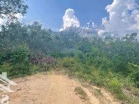 Chính Chủ Cần Bán 75 Triệu/1000M2 Cây Lâu Năm 1.1 Hec Bám Suối, Bám Đường Dài Hơn 100M