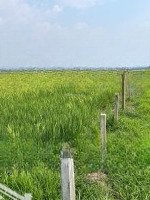 Bán Đất Tại Thái Mỹ, Củ Chi, 9,8 Triệu / M2, 5312 M2, Pháp Lý Đầy Đủ