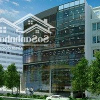 Toà Building Hoàn Chỉnh Hầm 9T -Mặt Tiềnphan Đăng Lưu - Dt: 20 X 35M - Hđt 600 Triệu/Th Giá Bán 149 Tỷ Tl