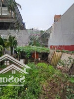 Bán Đất Siêu Đẹp - Giang Biên, Long Biên - 81.5M2 - Mặt Tiền 4.5M - Giá Bán 14.5 Tỷ