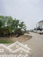 Bán Ô Góc 100M2 Tại Giàn Chiếu, Hợp Thịnh, Tam Dương, Vĩnh Phúc
