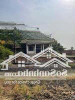 Bán Miếng Đất Thổ Cư Giá Rẻ Xã Hưng Long Bình Chánh