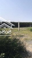Cho Thuê 4300M2 Đất Nguyễn Hữu Thọ