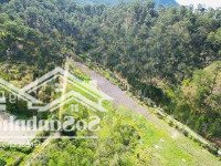 Bán Đất Thổ Cư Làng Đại Dương Dưới Chân Đèo Prenn