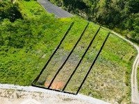 Bán Đất Thổ Cư Làng Đại Dương Dưới Chân Đèo Prenn