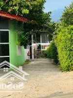 Bán Lô Đất Tại Thái Thông, Xã Vĩnh Thái Giá Tốt
---------------- Diện Tích: 80.5M