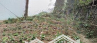 Sốc!181M Đất Full Thổ Cư Gần Các Dự Án Lớn Mà Chỉ Có Vài Tr/M ,Tại Xã Lâm Sơn,Lương Sơn.hoà Bình