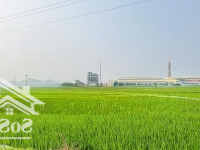 Sát Kcn Thanh Cao 2 Lô Full Thổ Cư, View Cánh Đồng Giá Chỉ 4Xx Triệu! Gọi Ngay Kẻo Lỡ!