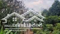 Cần Bán Nhà Vườn Đẹp Tphcm 2248M2 Ngay Dự Án Vin Vừa Khởi Công, Cách Sân Golf 800M, Chỉ 4 Triệu/M2