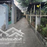 Chỉ 2,4 Tỷ Lô Đất Vuông Vức 106M2 Cạnh Chợ Đ. Nguyễn Văn Tạo, Hiệp Phước, Nhà Bè