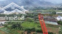 Đất Khu Dân Cư Ven Hồ View Đồi Quy Hoạch Sáp Nhập Đà Lạt, Giá Chỉ 850 Tr