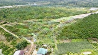 Bán 1,8Ha Huyện Đức Trọng - View Sông Đồng Nai Rất Đẹp